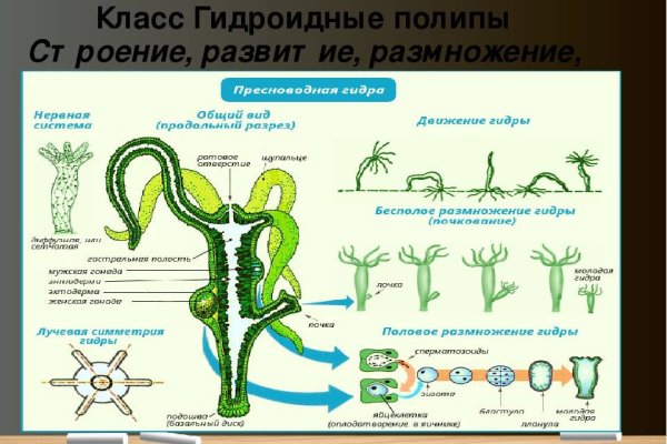 Ссылки на даркнет сайты