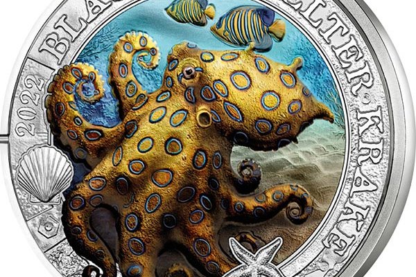 Kraken ссылка kraken torion