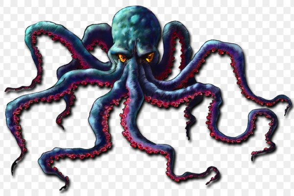 Kraken 6 at