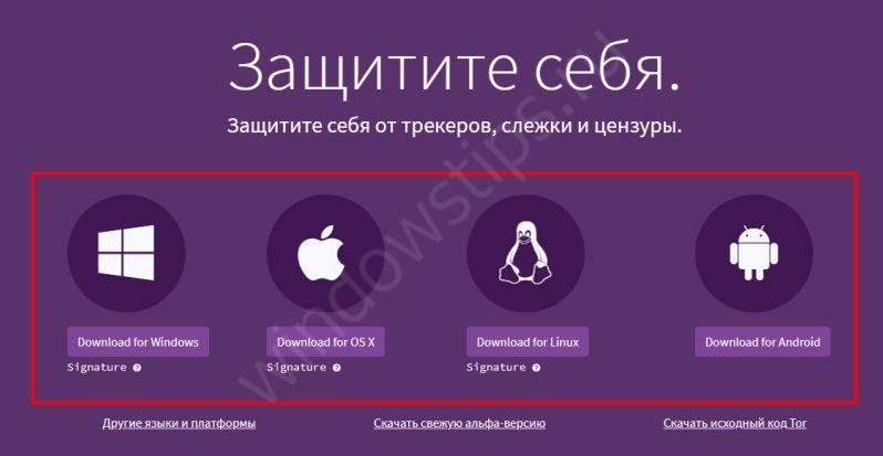 Каталог сайтов даркнет
