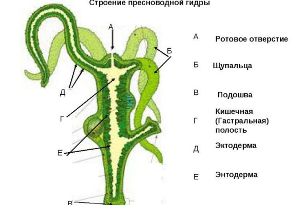 Гидра альтернатива