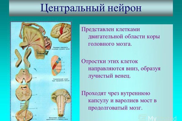 Как попасть на кракен с айфона