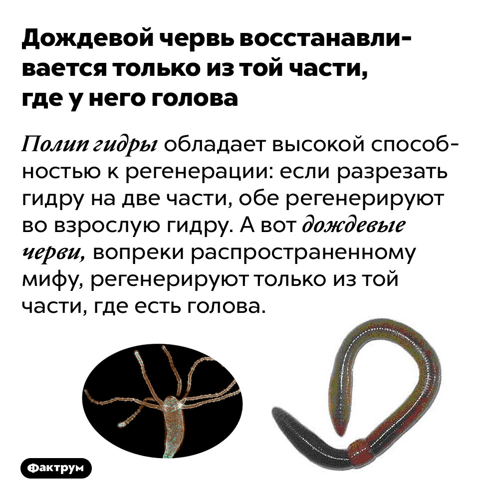 Ссылка адрес на кракен